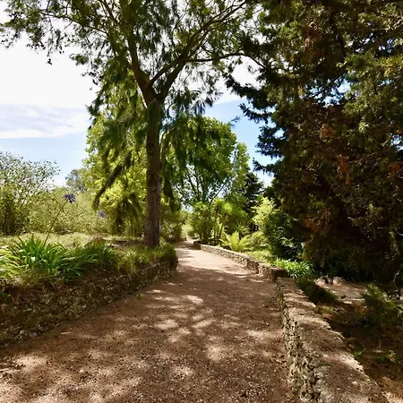 Casa Da Mina Sintra *